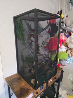 Chameleon/ Lizard Terrarium