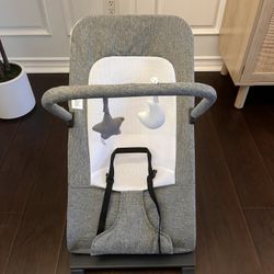 Baby Delight Alpine Bouncer