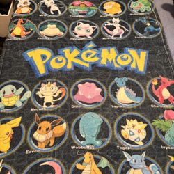 Pokemon Small Blanket 