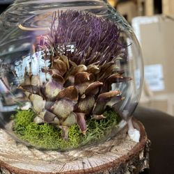 Handmade Real Dried Floral Terrarium