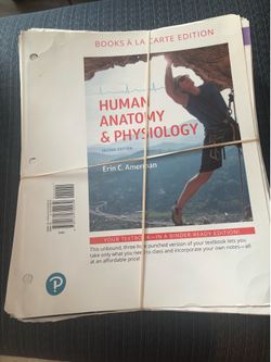 USED A&P Book