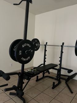 Bench and Weights