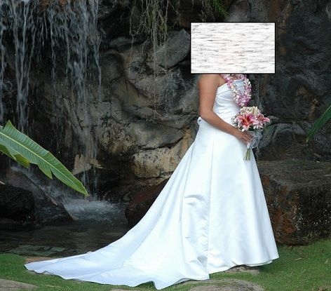 Alfred Angelo Wedding Dress 