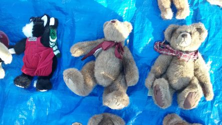 Boyd Bears medium size