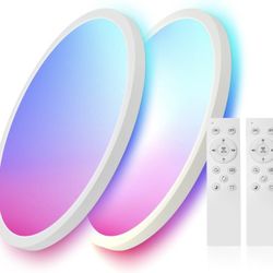 Smart Ceiling Light Set