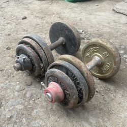 Set Of Dumbbells 