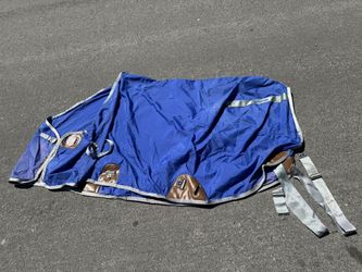 BMB Horse Sheet 76”