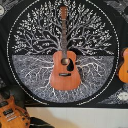 Harmony H106G Acustic Guitar 