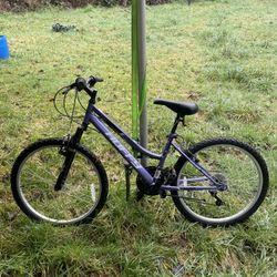 Medium Sized Purple Bike
