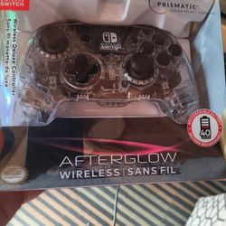 Nintendo Switch Controller 