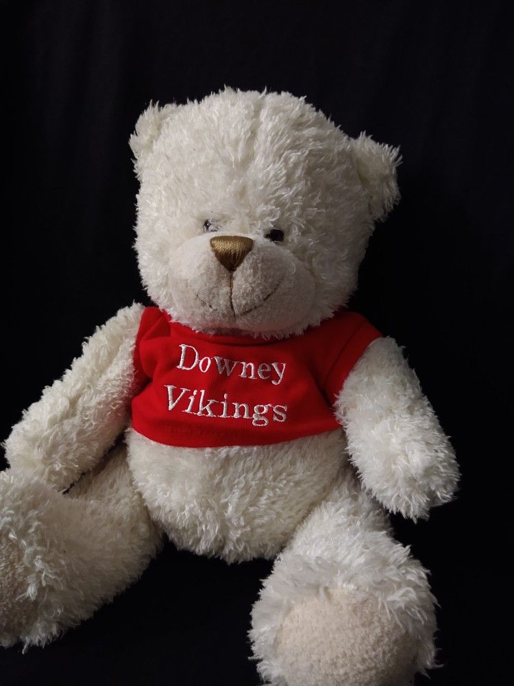 Downey Vikings Teddy Bear