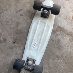 Penny Board Skateboard 