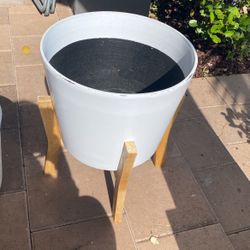 Two Plant Bowls And One Holder 