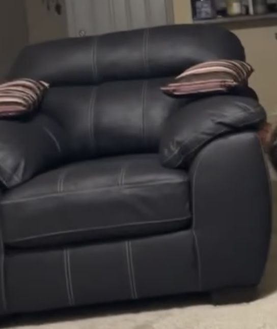 Couch And Oversize Chair