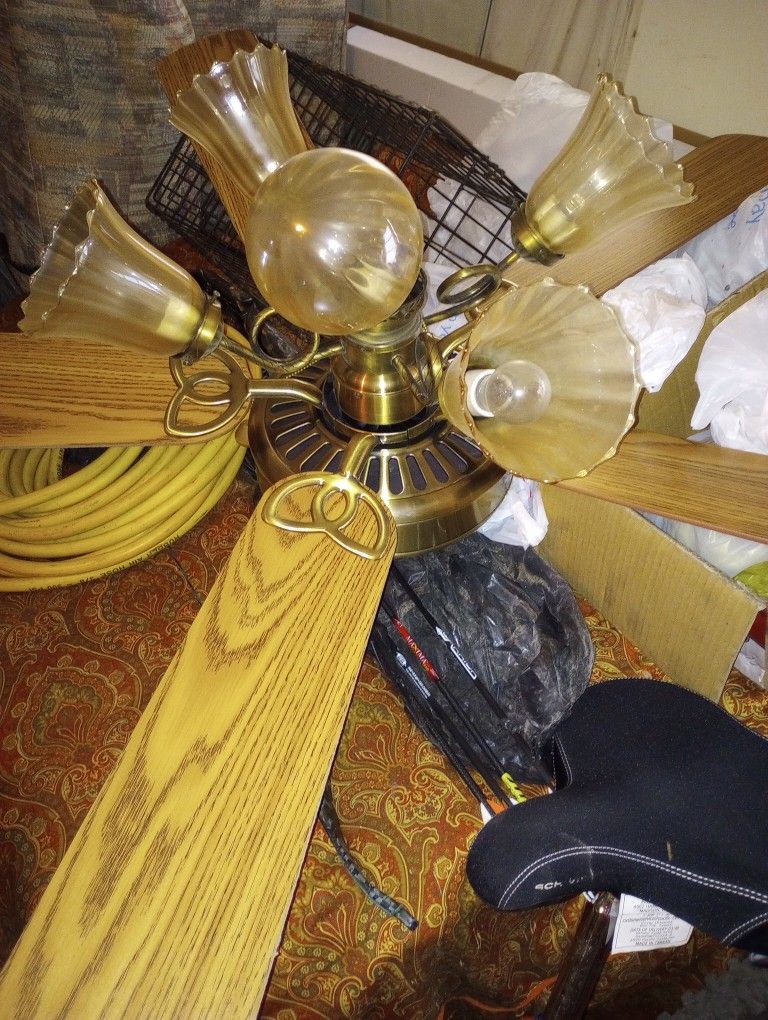 Ceiling Fans 