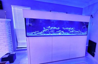 High End Waterbox ReefLX 320.7 Full Setup