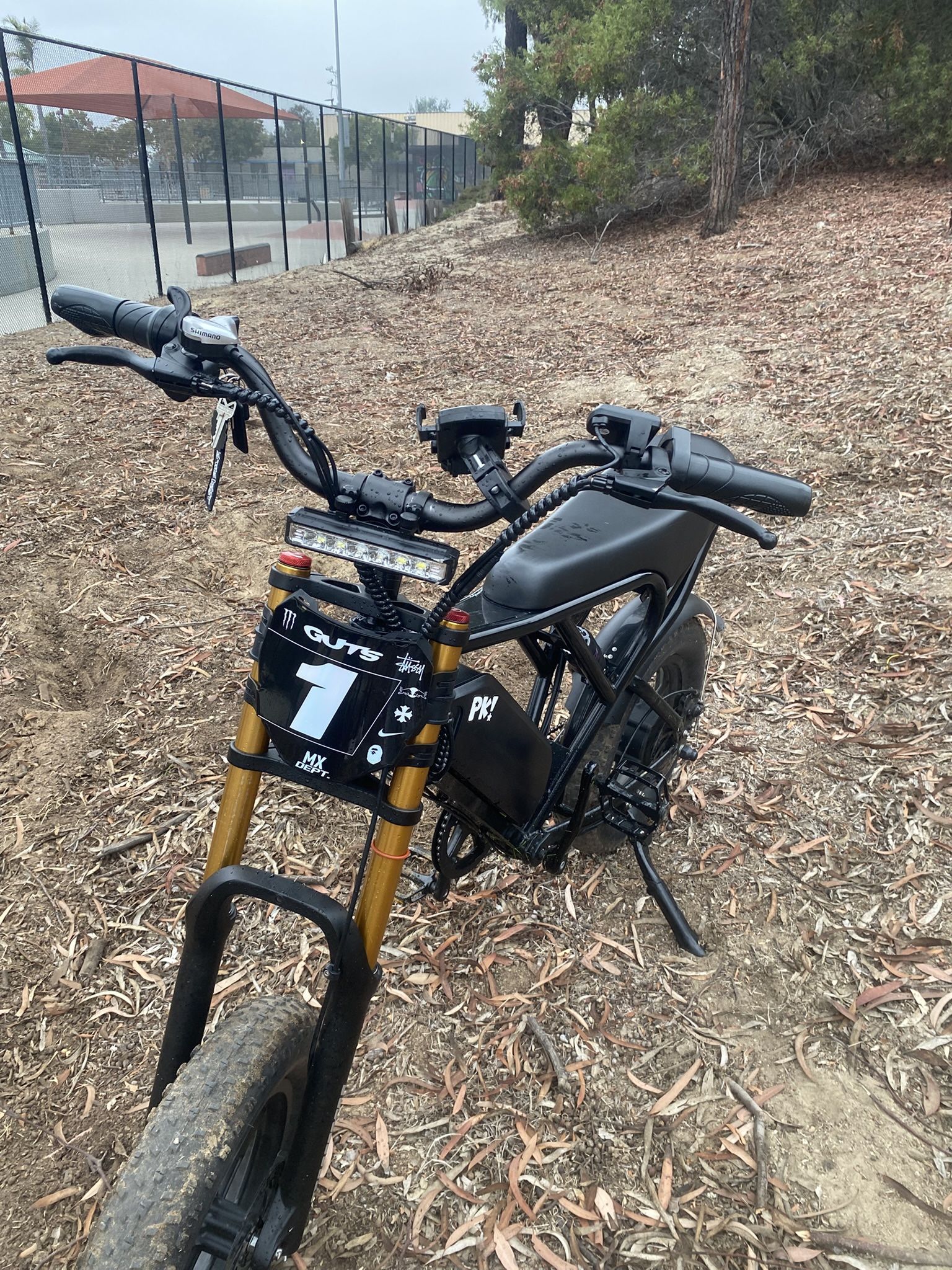 Ridstar 1500w