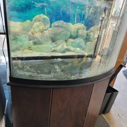 36 Gallon Bowfront Fish Tank Aquarium 