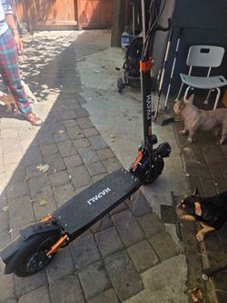 Electric scooter 10" tires 1000w