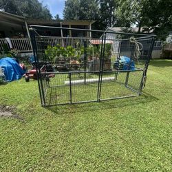 Cage for dog