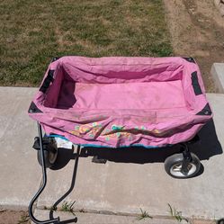 Girls Wagon