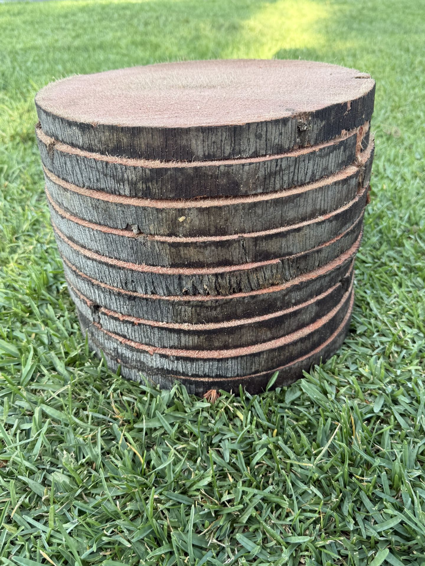 Palm tree wood slices (Center pieces) Cake stand thick pieces 9-10 inches wide