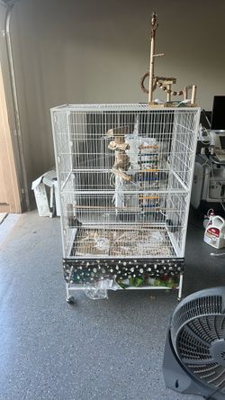 Bird cage