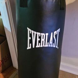 Punching  Bag
