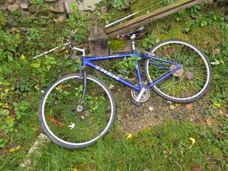 Trek Mountain Bike