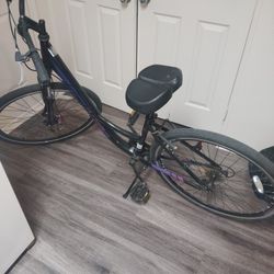 Schwinn Aluminum 700 C Wheels 