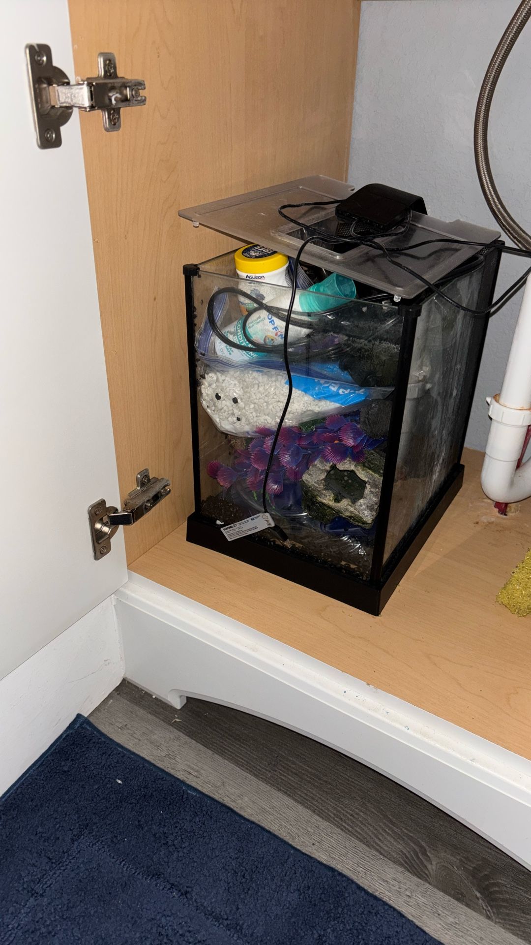 Fish Tank