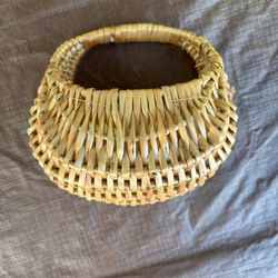 Small Woven basket with plastic lining