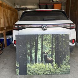 Deer In The Woods Art