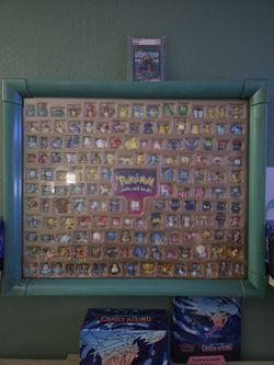 Pokémon collection case