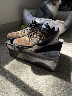 Kobe 7 Cheetah