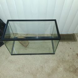 10 Gallon Tank 