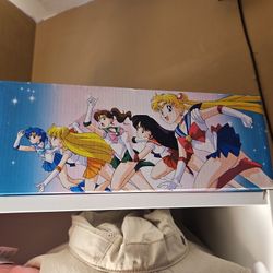 Vans X Sailor Moon 