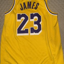 LeBron James Lakers Jersey “23”