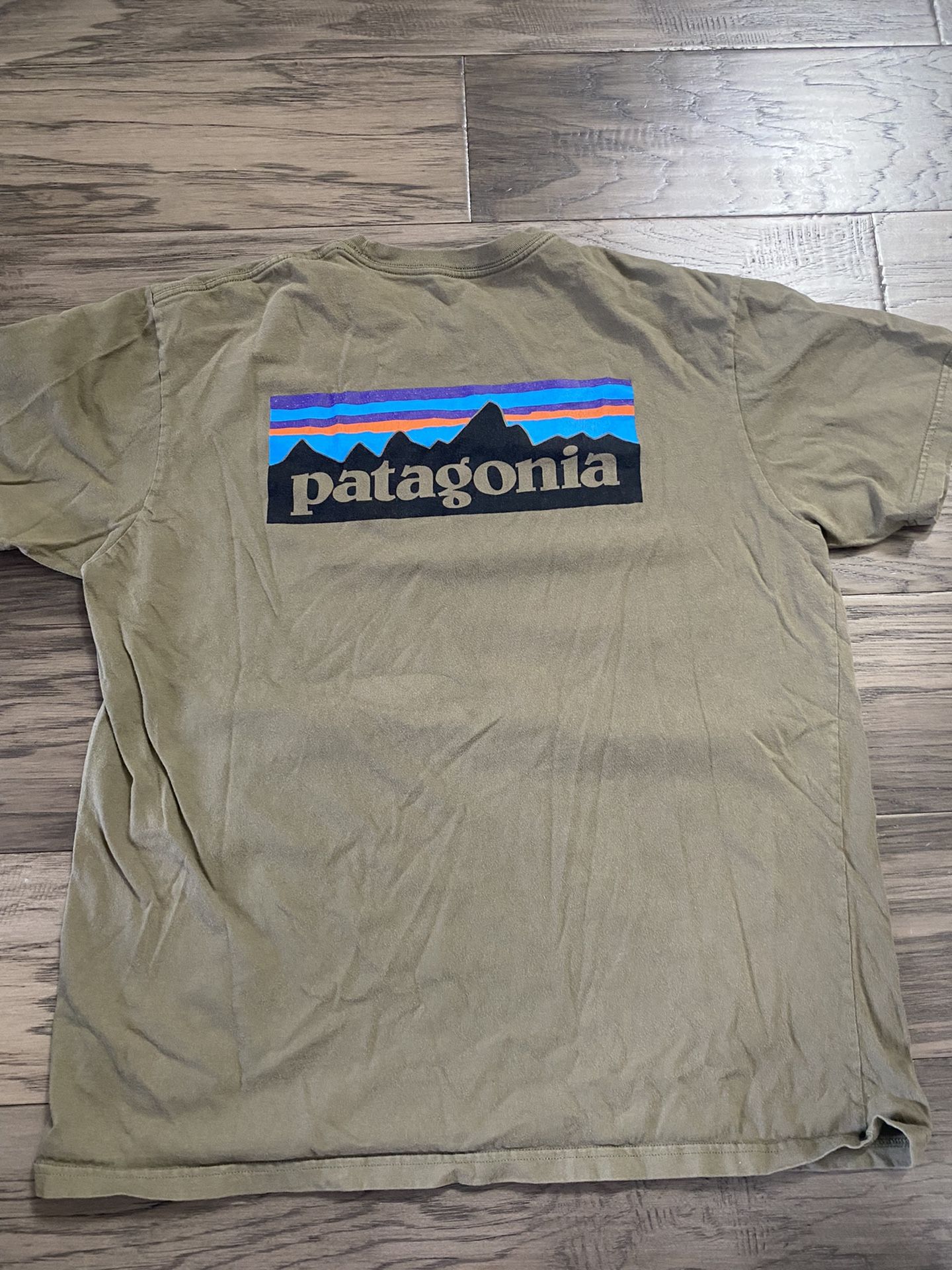 Patagonia Shirt
