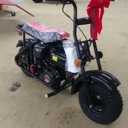 200 mini bike Trailmaster storm