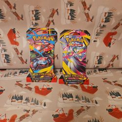 Pokémon TCG: Megan Evolution 