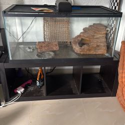 Reptile Tank