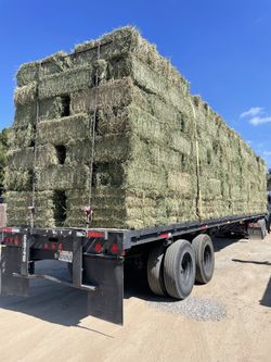 ALFALFA BALES 