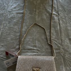 NWT women’s clutch. Gold. 