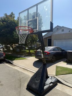 Basketball Court