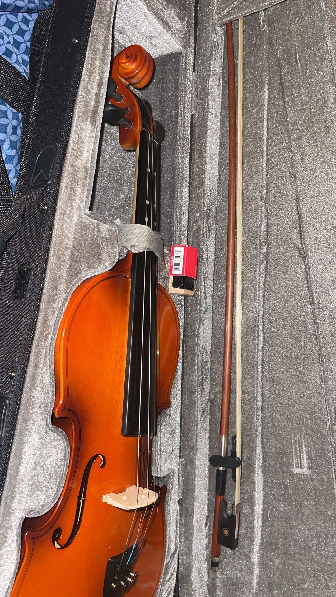 Violin