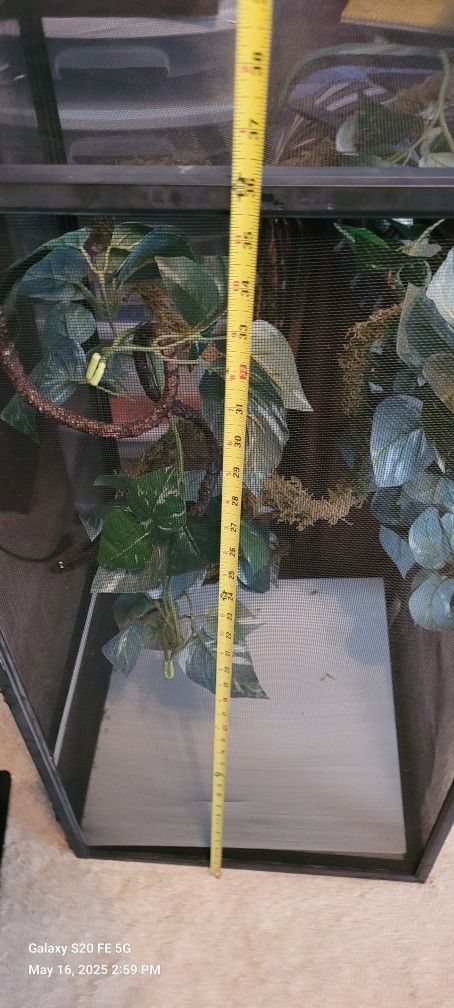 Chameleon Cage