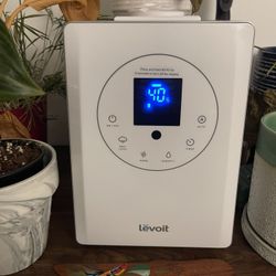 Levoit Humidifier and Diffuser
