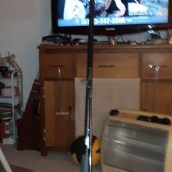 Cosmo Ace Rod And Reel