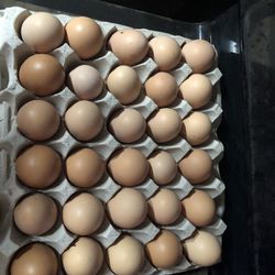 Farm Fresh Eggs $4.00 a dozen